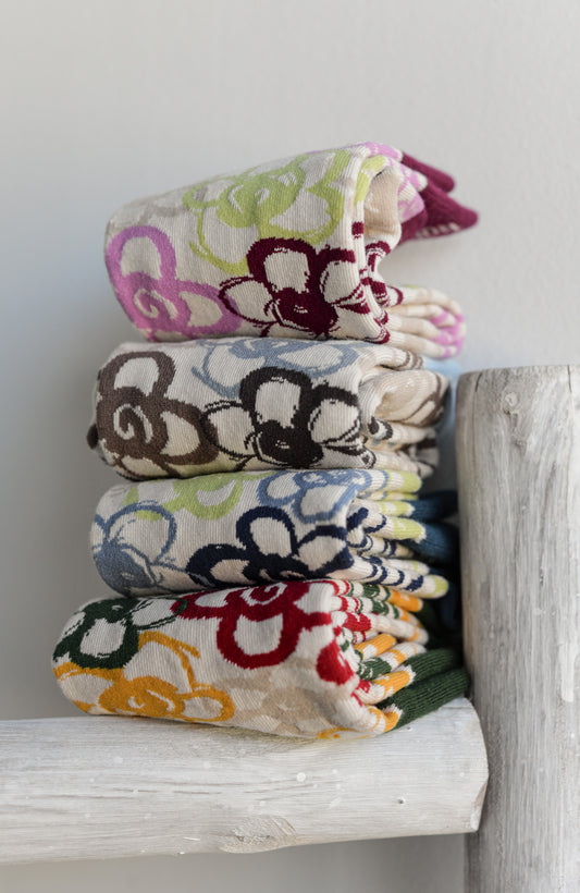 C25204 - Calze - Noco Complementos