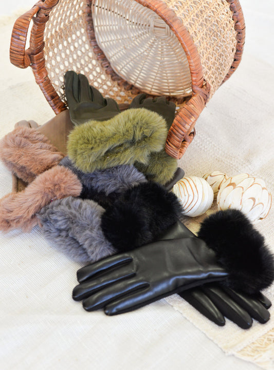 GU24207 - Guanti - Noco Complementos