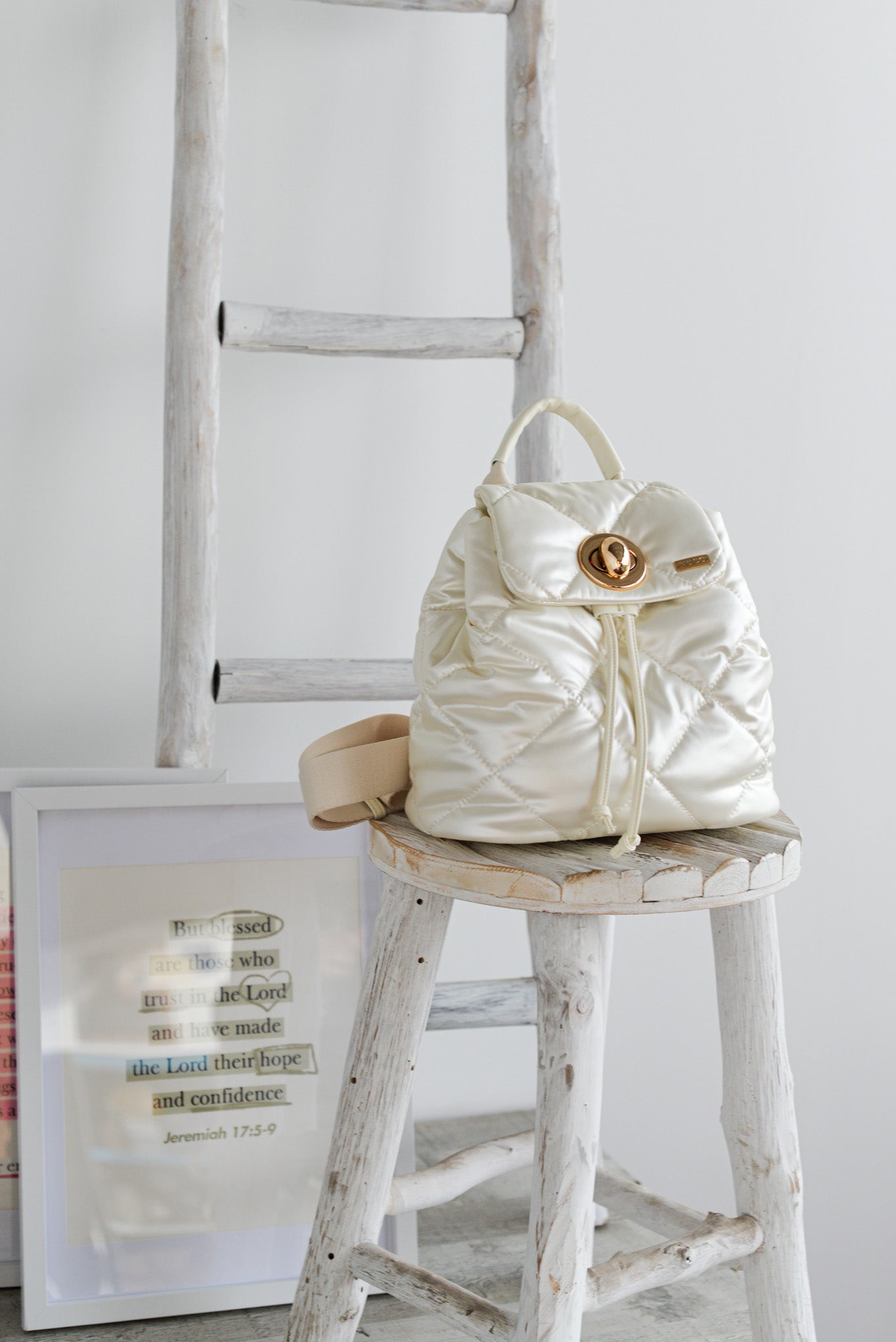 2525629 - Zaini - Noco Complementos