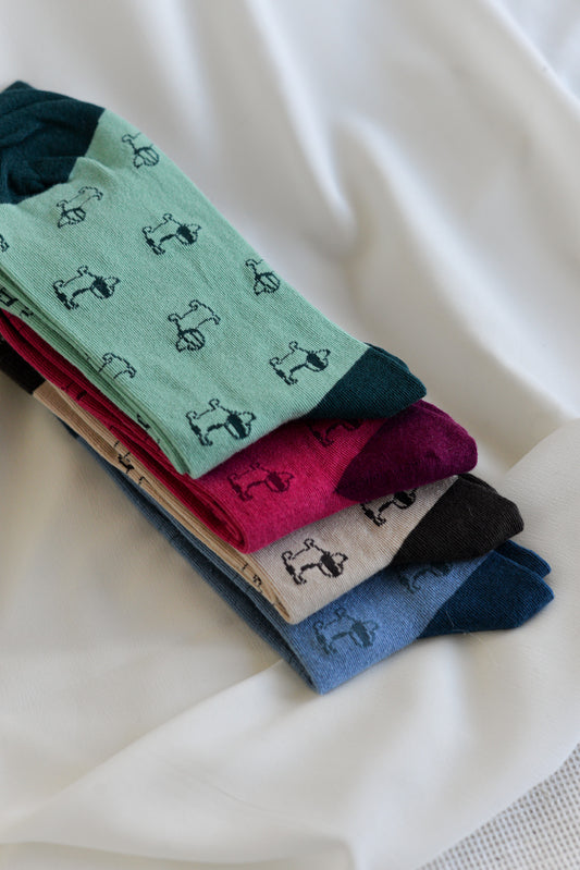 CA25205 - Calze - Noco Complementos