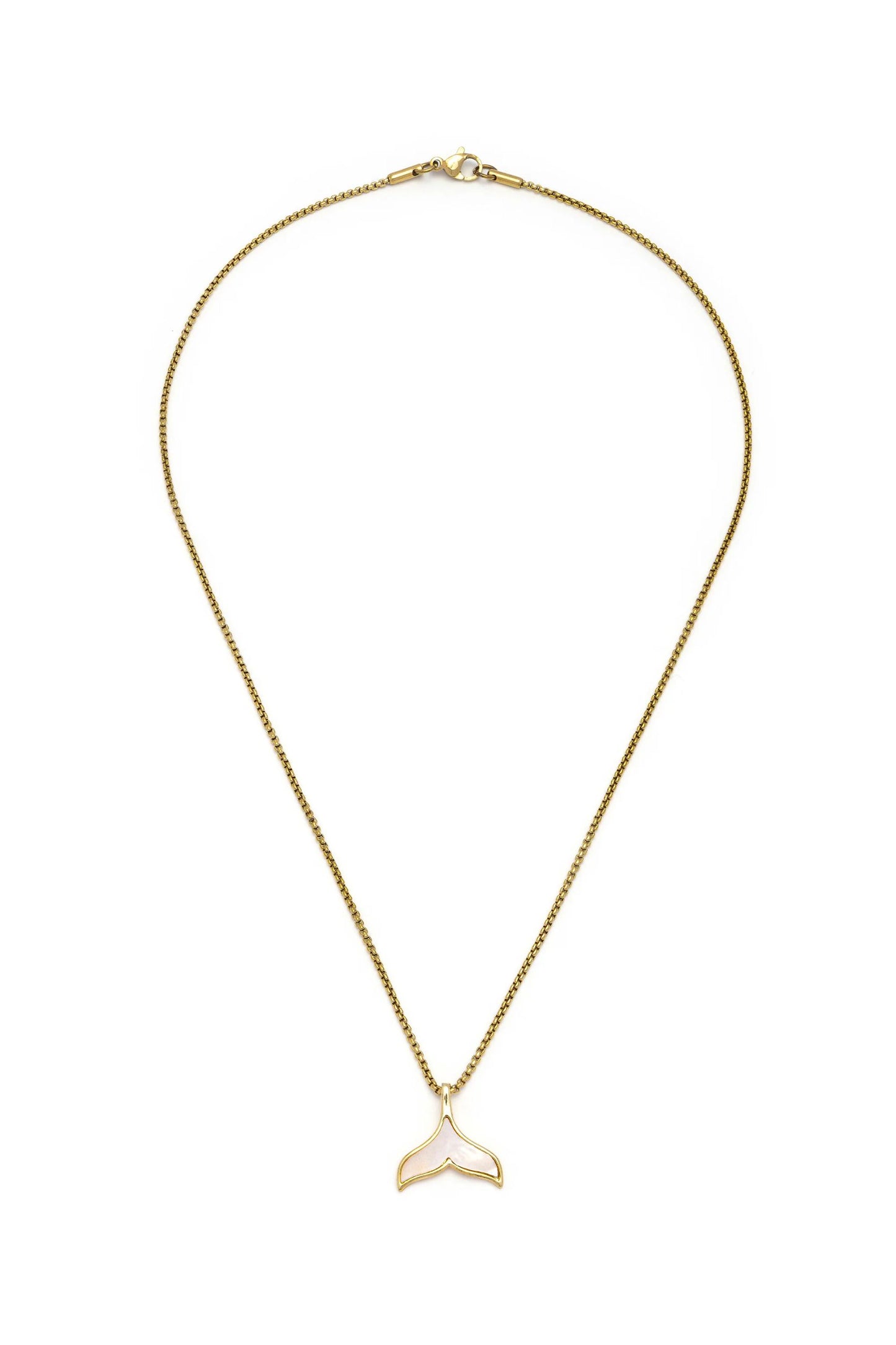 MP1001 - Collar - Vestopazzo