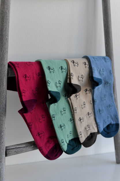 CA25205 - Calcetines - Noco Complementos