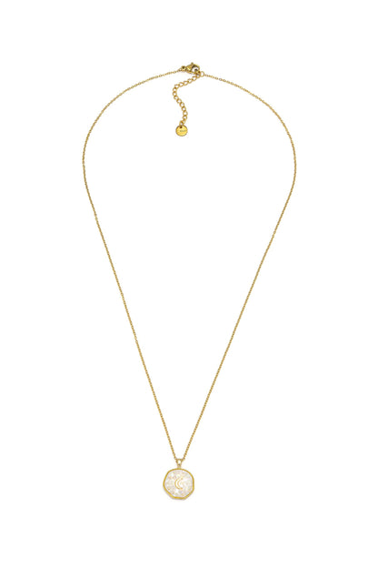 MP1000 - Collar - Vestopazzo